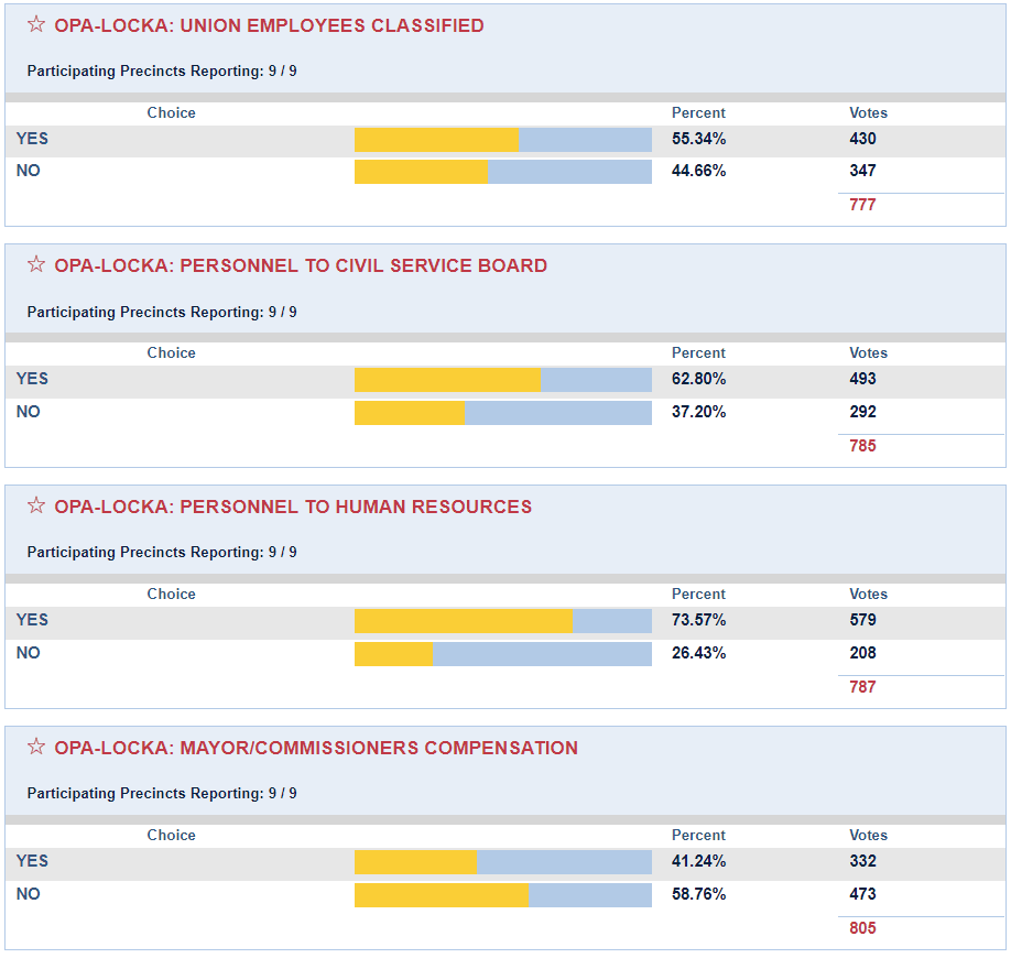 2010 Primary Election Results Opens in new window